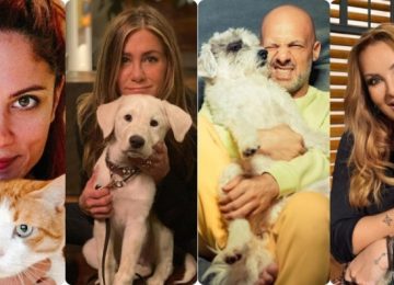 Παγκόσμια Ημέρα Αδέσποτων Ζώων: Celebrities που έχουν υιοθετήσει αδέσποτα